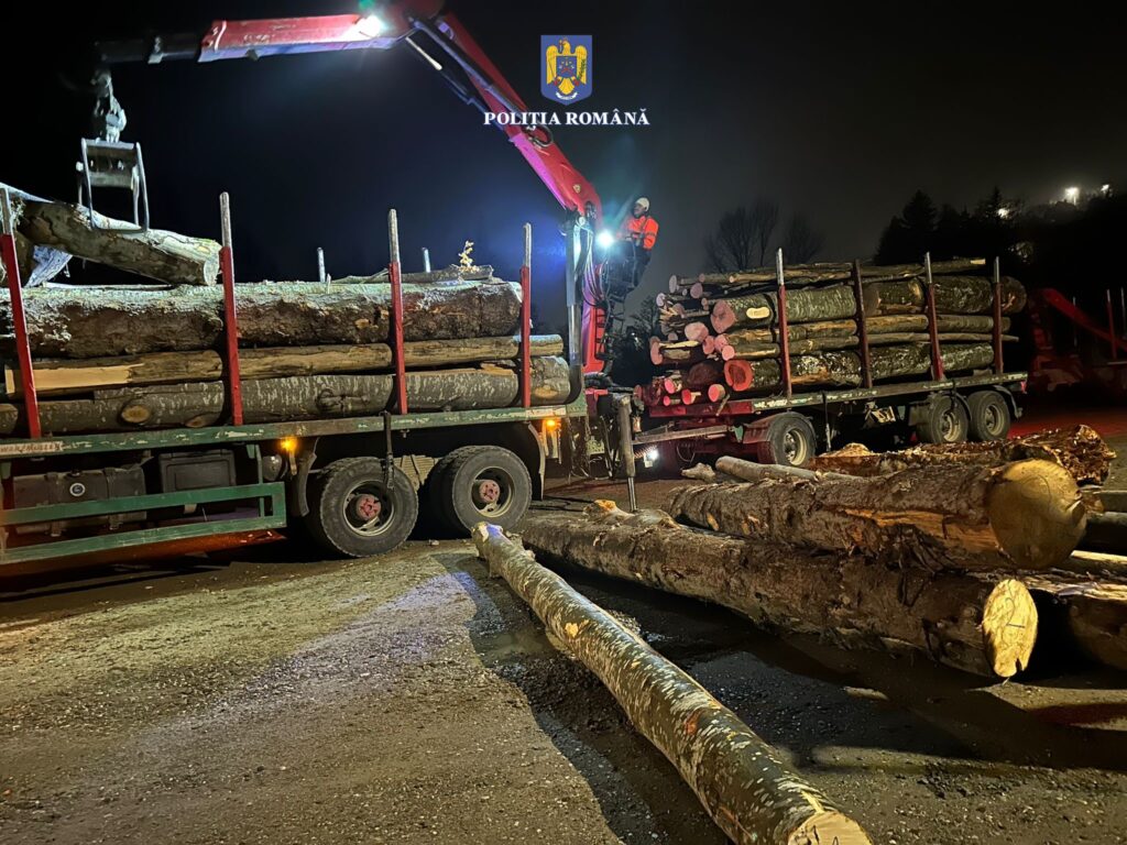 transport ilegal de lemne Buzău
