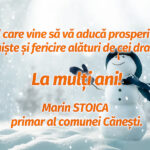 Cănești