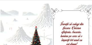 Mesajul de Crăciun, transmis de președintele Consiliului Județean, Lucian Romașcanu