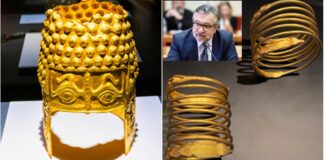 Președintele CJ, Lucian Romașcanu, fost ministru al Culturii: ,,Un dezastru național! Statul olandez, vinovat!”