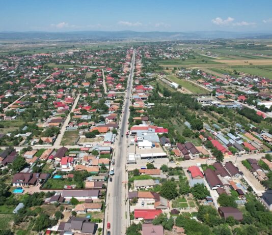 MĂRĂCINENI. O nouă campanie gratuită de sterilizare a câinilor și pisicilor, în perioada 23-25 octombrie