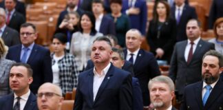 Deputatul PSD Romeo Lungu, despre buget, în cifre