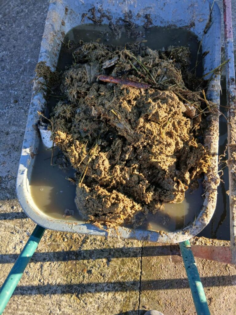 canalizarea nu e tomberon, Compania de Apă Buzău