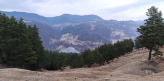 Echipează-te de drumeție! Trasee tematice, inaugurate la Bisoca