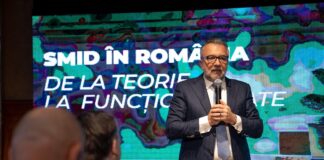 Romașcanu, pe picior de plecare de la șefia Consiliului Județean. Audiat pentru Curtea de Conturi UE