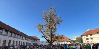 Colegiul Național Pedagogic „Spiru Haret”, titlul de Școală eTwinning 2025-2026