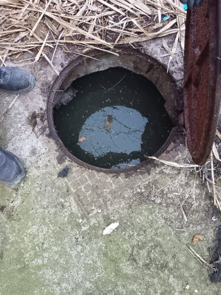 (FOTO) Garda de Mediu, bilanț după prima săptămână de controale 6 controale Garda de Mediu Buzău