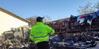 (FOTO) Garda de Mediu, bilanț după prima săptămână de controale