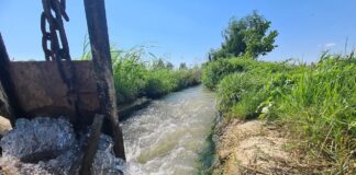 (FOTO) MĂRĂCINENI. Primar: ,,Am dat drumul la apă…”