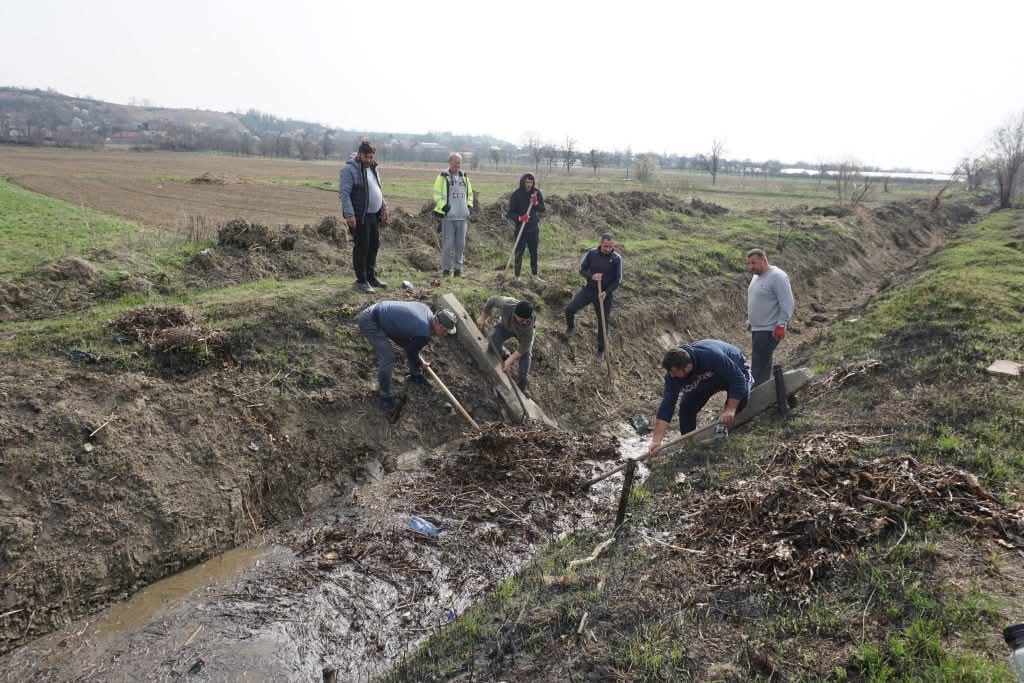 canal irigații Mărăcineni, legumicultori Mărăcineni