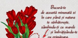 Mesajul de 8 Martie al primarului comunei Merei