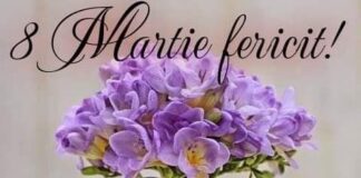 Mesajul de 8 Martie al primarului comunei Cănești