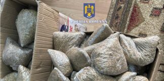 (VIDEO) Contrabandă cu țigări. Un bărbat arestat. O femeie, plasată sub control judiciar