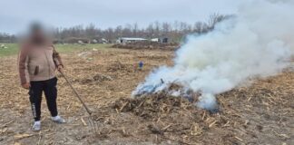 (FOTO) Localnic din Boldu, amendat cu 10.000 de lei. Cine și de ce a aplicat sancțiunea