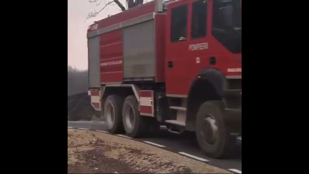 Video Thumbnail: INCENDII VEGETATIE VIDEO MARTIE 2025
