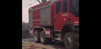 (VIDEO) Campania ,,STOP INCENDIILOR!”