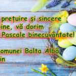 Balta alba