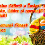 Canesti