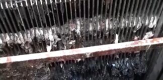 (VIDEO) ,,Canalizarea nu e tomberon!”. Imaginile publicate de Compania de Apă