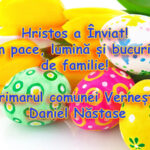 vernesti