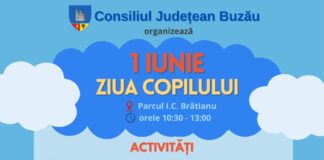 De Ziua Copilului, în Parcul ,,I.C. Brătianu”. Iată ce a pregătit Consiliul Județean!