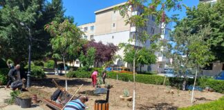 Serviciul de Probațiune Buzău – ateliere de lucru cu tema ,,Munca neremunerată în folosul comunității: obligație penală cu valoare reintegrare socială și reparatorie”