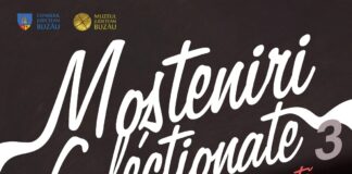 Moșteniri Colecționate, la Muzeul Județean. Vineri, vernisajul expoziției din colecția Ionel Popa