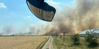 (UPDATE/FOTO) Incendiu de vegetație uscată, în comuna Scutelnici