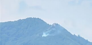 (UPDATE/FOTO) Val de incendii în județ, pompierii sunt chemați de acasă! Arde o pădure și în comuna Bozioru