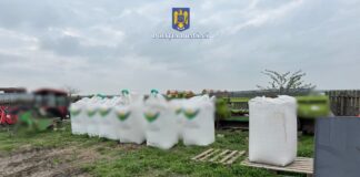 Șase persoane, trimise în judecată pentru trafic de produse sau substanțe toxice