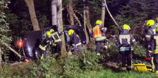 Doi tineri, soț și soție, morți într-un accident în Germania