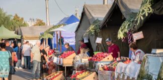 Proiectul de hotărâre pentru organizarea și funcționarea Târgului ,,Toamna Buzoiană – 2025″, în dezbatere