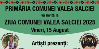 Ce artiști vor cânta vineri, la Ziua comunei Valea Salciei