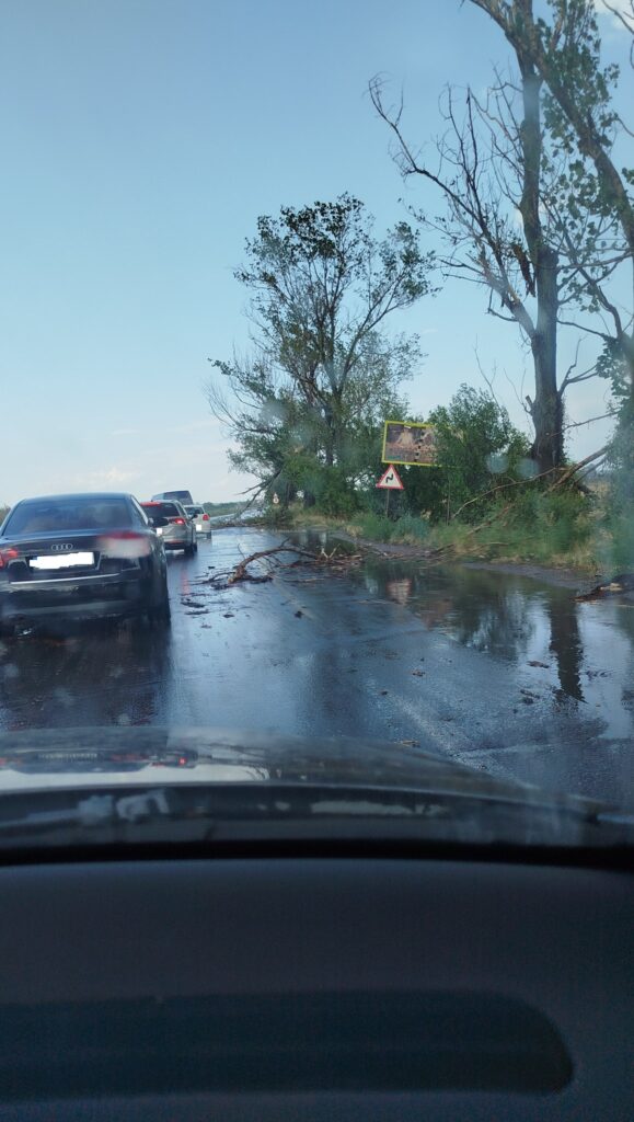 copaci căzuți Buzău, rupere de nori Buzău, străzi inundate Buzău