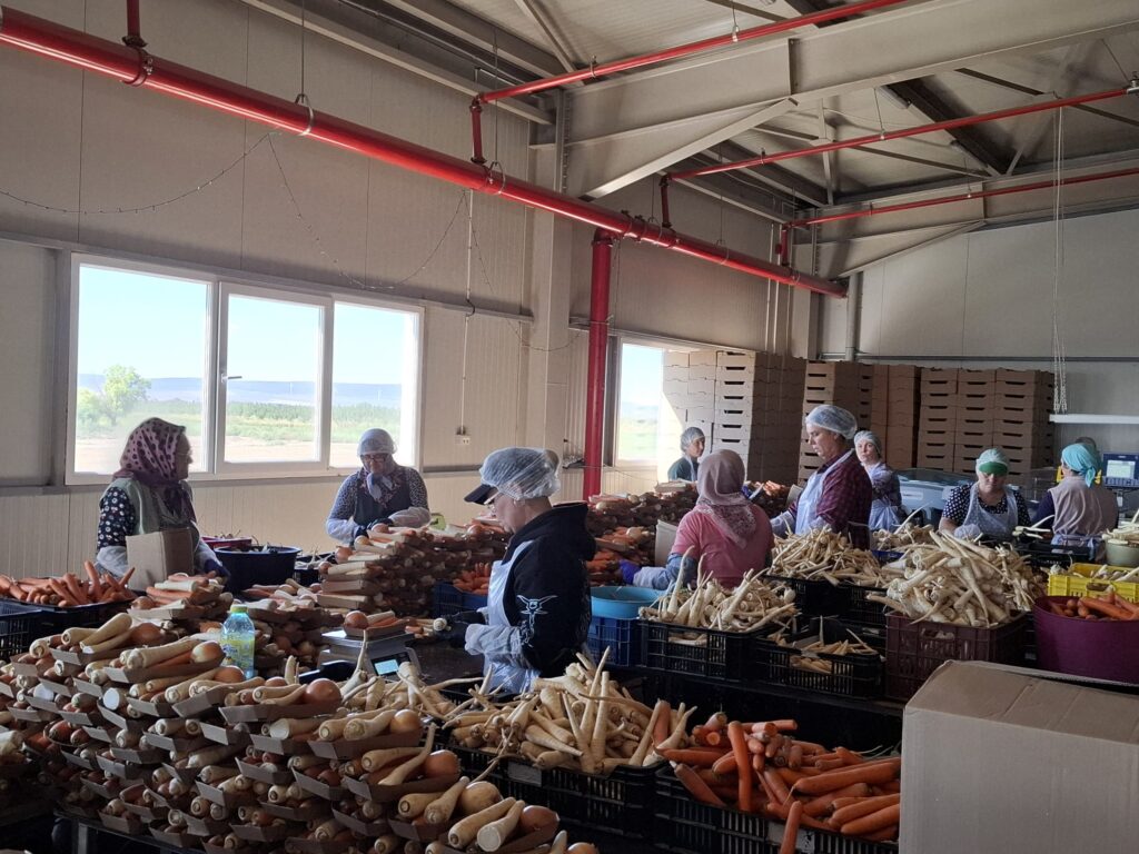 (FOTO) Echipa Gal Valea Buzăului, schimb de experiență în Tulcea 2 GAL Valea Buzăului, Gal Valea Buzăului schimb de experiență