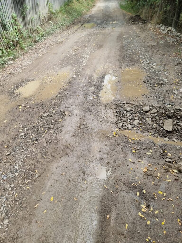 infrastructură afectată de ploi Buzău