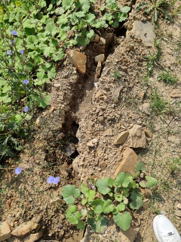 infrastructură afectată de ploi Buzău