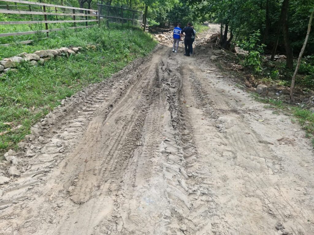 infrastructură afectată de ploi Buzău