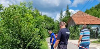 (FOTO) Infrastructură afectată de ploi torențiale, în județul Buzău