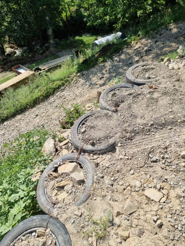 infrastructură afectată de ploi Buzău