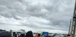 Bilanț la Garda de Mediu. Amenzi de peste 3 milioane de lei