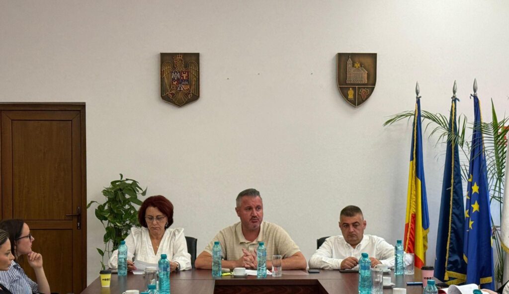 grup multidisciplinar Buzău combaterea violenței domestice