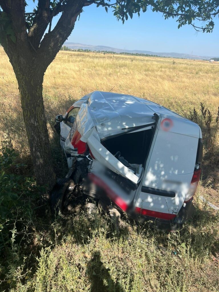 accident E85 Costești