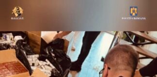 (VIDEO) Contrabandă. Captură record: peste 700.000 de țigarete, confiscate de polițiștii buzoieni