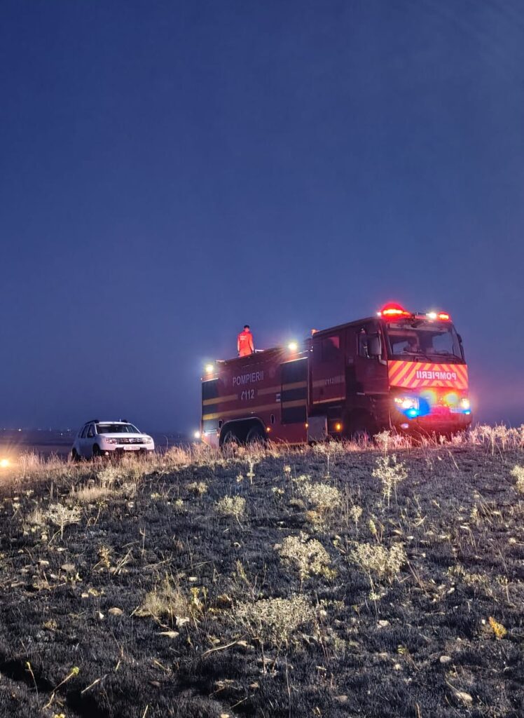 incendiu vegetație uscată Racovițeni