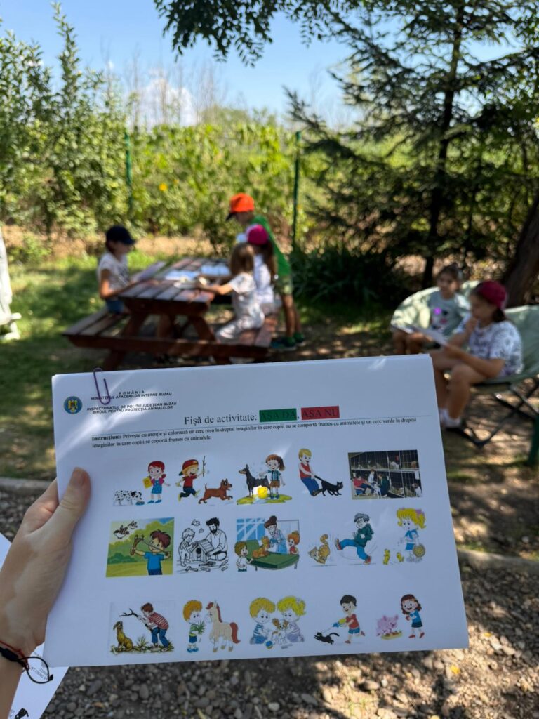 activitate preventivă afterschool