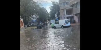 (VIDEO/FOTO) Rupere de nori, străzi inundate și copaci căzuți în Buzău
