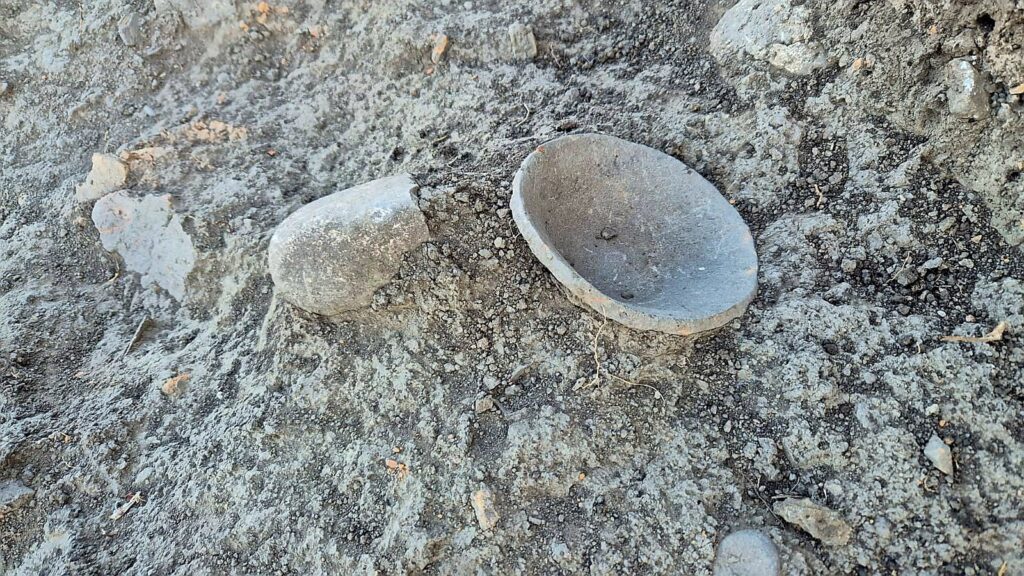 Muzeul Judetean buzau, șantier arheologic Cârlomănești