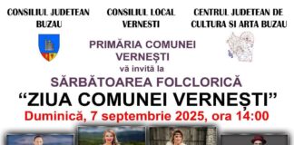 ,,Ziua comunei Vernești”, duminică, 7 septembrie. Ion Paladi și Mirela Vaida, printre artiștii invitați