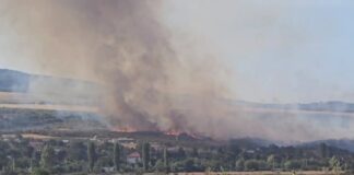 (UPDATE/VIDEO) Incendiu de proporții, în comuna Topliceni